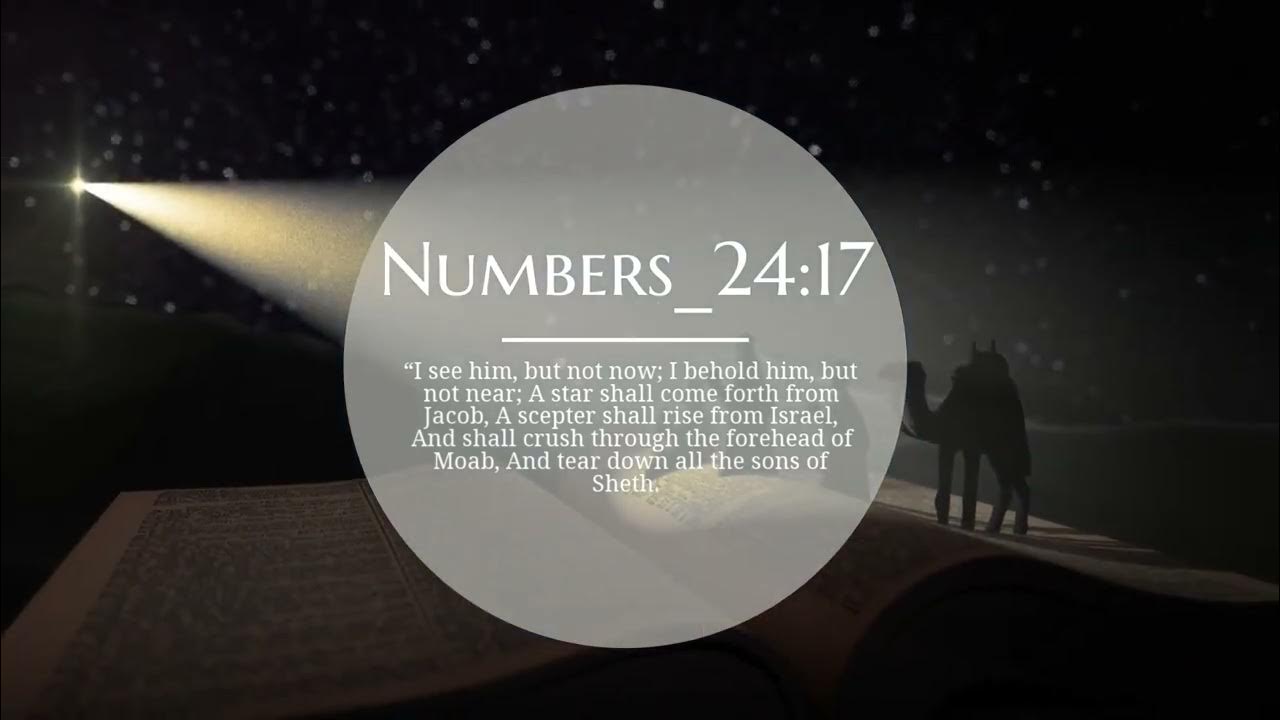 Numbers_2417 YouTube
