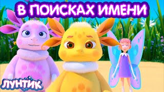 ПРЕМЬЕРА В ПОИСКАХ ИМЕНИ | ЛУНТИК 3D | 510 СЕРИЯ | ЛУНТИК НА КИНОПОИСКЕ !!! | DiZimain