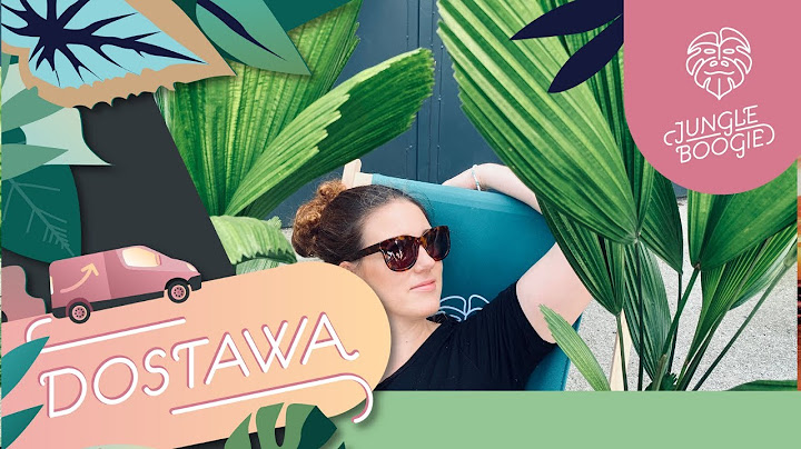 Weekend gigantów czyli nowa dostawa roślin w Jungle Boogie.Wielka Hoya Linearis, Licuala Grandis XL