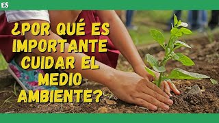 ¿Por qué es importante CUIDAR EL MEDIO AMBIENTE? (VIDEO EDUCATIVO) 📚