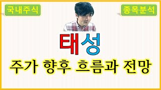 태성 : 주가 향후 흐름과 전망