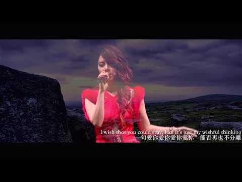 G.E.M. 鄧紫棋【A.I.N.Y. 愛你2017】飯製MV Fan make MV