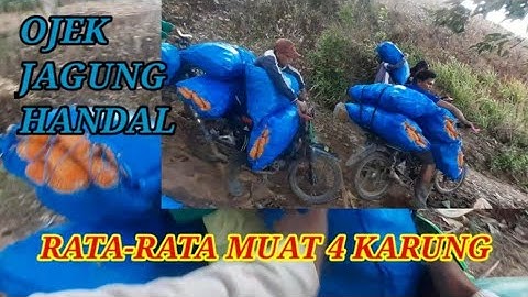 Ojek jagung handal #4k  @Hobi_ojekjagung_gorontalo  ojek jagung gorontal
