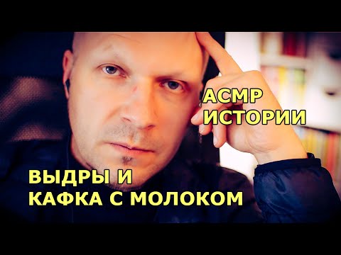 Мои АСМР истории.