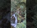 la font del Llobregat el nacimiento del Llobregat(2)