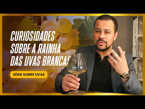Vídeo: Que chardonnay tem gosto de rombauer?