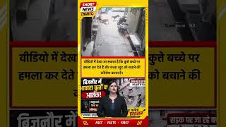 🚨 बिजनौर में मासूम पर आवारा कुत्तों का हमला! CCTV VIDEO VIRAL | Najibabad Dog Attack News.