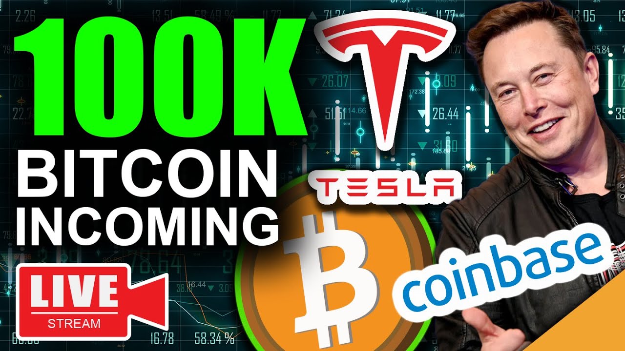 MOST Bullish Crypto News (Elon Musk All in On Bitcoin) YouTube