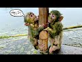 Oh No Baby Monkeys Luna And NaNa Took A Bath By Themselves And Ended Up Like This Oh No Baby Monkeys Luna And NaNa Took A Bath By Themselves And Ended Up Like This