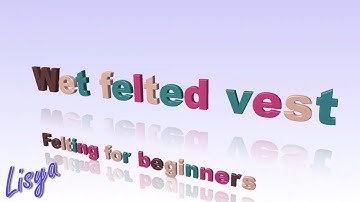 Wet felted vest.  Felting for beginners