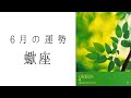 【 蠍座 】6月の運勢 鳥肌が止まらないストーリー展開に🥹ここから蠍座さんの本領が発揮されていきます!2024年タロット占い