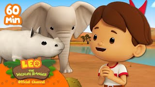 HUGE Animals with THICK SKIN!!  Rhino, Elephant! | Leo the Wildlife Ranger | Kids Cartoons