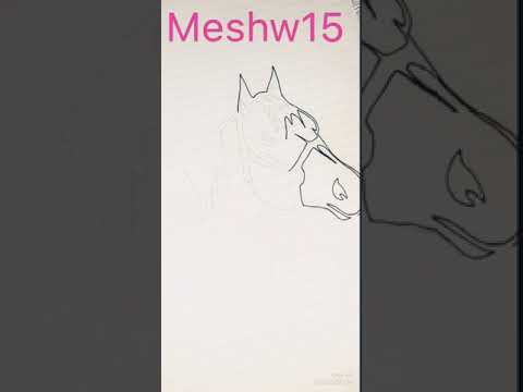 بوب ارت 15