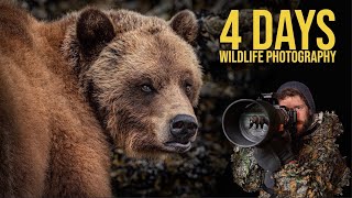 Wildlife Photography in The GREAT BEAR RAINFOREST | Best CAMERA SETTINGS | Grizzlies and Whales!