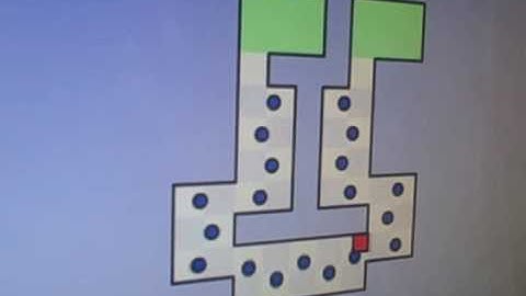 the world  hardest game level 10