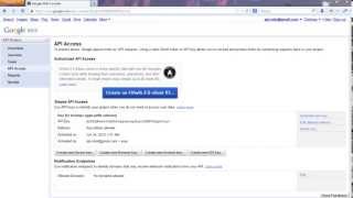 Get API Key for Google Plus Application screenshot 5