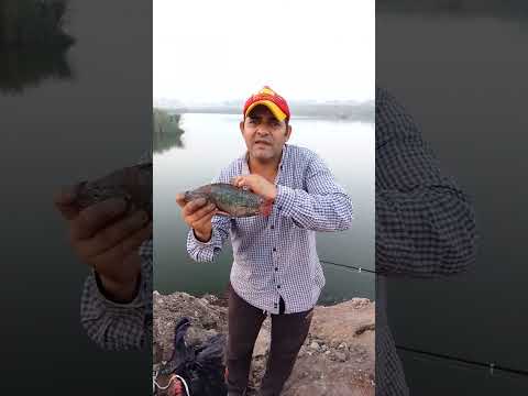 عرب العليقات فى القليوبية بحرية صنعتها الطبيعة وأهملها المسؤولون