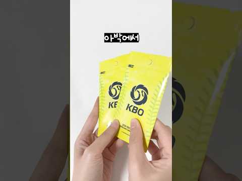 야구보는 사람?