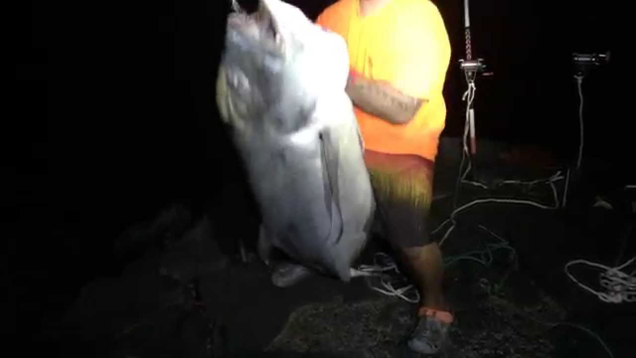 Ulua Fishing Big Island (June 2014)