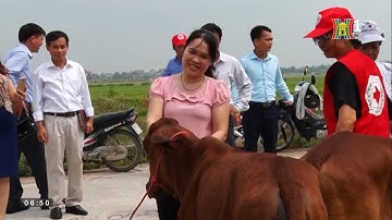 Trao tặng bò giống cho hộ nghèo huyện Quốc Oai