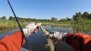 видео: Рыбалка с ЛОДКИ на МАЛОЙ РЕКЕ! Ловля ЩУКИ на СПИННИНГ весной! картинка: Рыбалка с ЛОДКИ на МАЛОЙ РЕКЕ! Ловля ЩУКИ на СПИННИНГ весной!