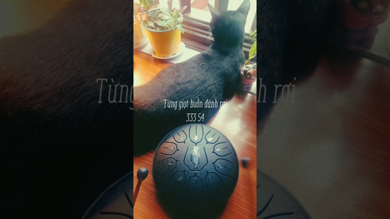 Cơn mưa tình yêu 🌦 11 Tone Tank Drum cover 💙