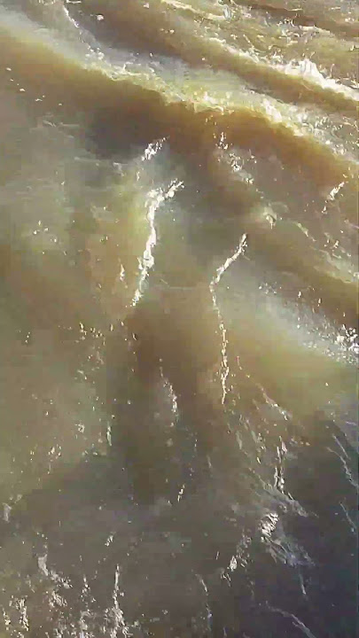 The floodwaters have drained away.#video #shortvideo #funny #original #youtube #youtubeshorts