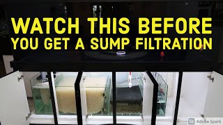 Aquarium SUMP Filtration ( Pros & Cons)