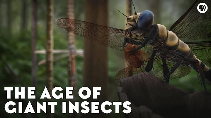 The Age of Giant Insects - DayDayNews