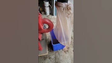 walnut shells through the hammer mill