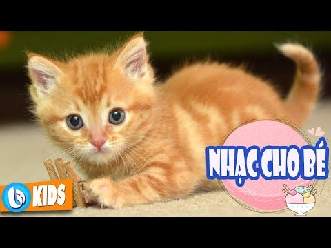 Con Mèo Con Chuột ♫ Nhạc Thiếu Nhi Vui Nhộn Hay Nhất | Foci