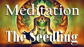 GUIDED MEDITATION for inner GROWTH, SELFCARE, MINDFULNESS & SLEEP  | The Seedling |