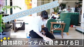 【掃除ルーティン】やる気スイッチを入れて磨き上げる！もう普通の雑巾には戻れない最強アイテム見つけました🕺✨