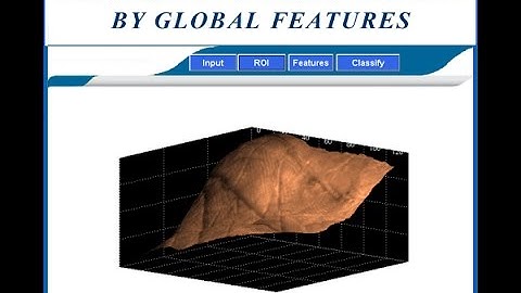 Palm-Print Classification by Global Features Matlab Project