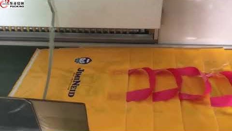 Customized Printed Plastic Bag PE Soft Loop Hand Gift Bags PE Colored Tote Shopping Bag With Logo