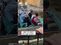 The best $0 50 I've ever spent 😂                             🎥: galci.masina via Collab