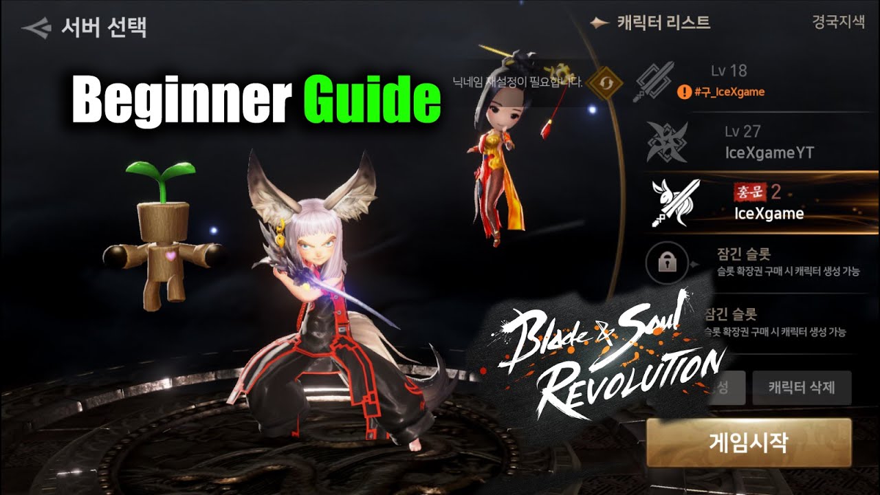 Blade & Soul Revolution Beginner Guide