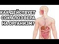 Действия Сока Алоэ Вера