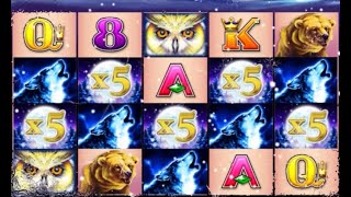 Timber Wolf high limit slot machines Big win Must watch screenshot 4