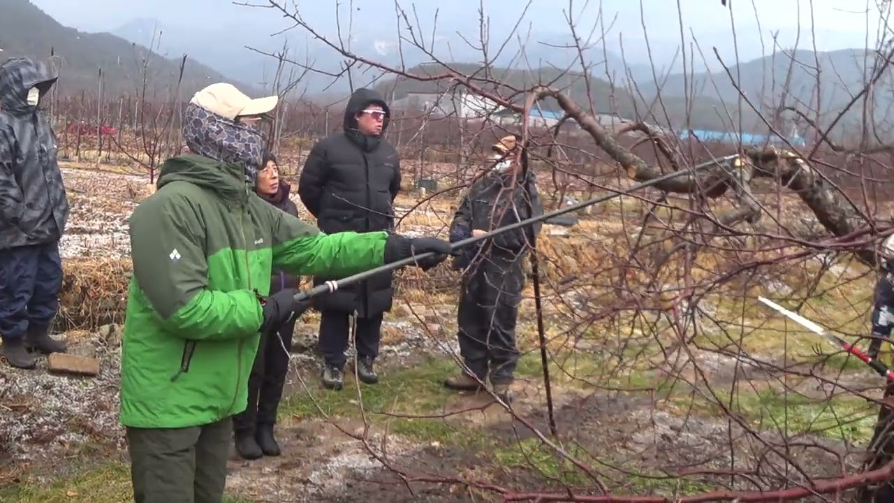 2026 01 10 일반대목 후지 전정오까다