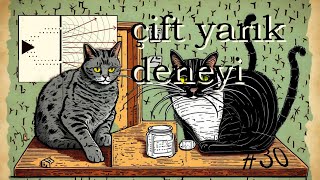 Mini Bilgi'sel #30 - Çift Yarık Deneyi: Varoluşun İkili Doğası