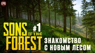 Sons Of The Forest - Знакомство с новым лесом - Выживание #1 (стрим)