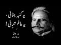 Allama Iqbal Poetry - Ye Gumbad e Meenai Ye Aalam e Tanhai - Zia Mohyeddin