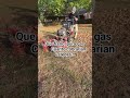 Dandole fuerte 💯 #lawncare #lawnmaintenance
