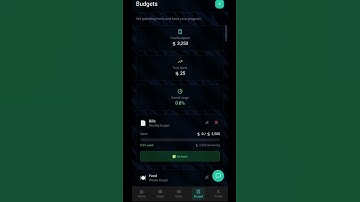 Fin Sphere – A Personal Finance App Built by a 16-Year-Old | Debt + Budget + AI Assistant