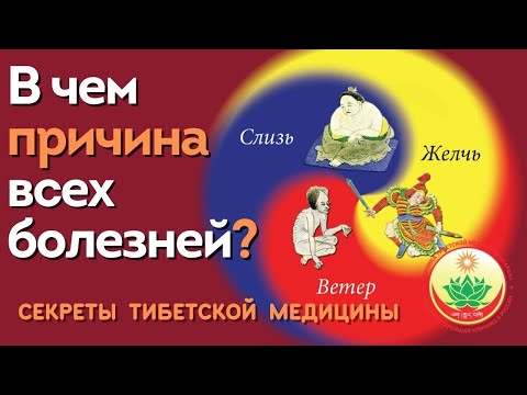 В ЧЕМ КРОЕТСЯ ГЛАВНАЯ ПРИЧИНА ВСЕХ ЗАБОЛЕВАНИЙ?Секреты тибетской медицины.