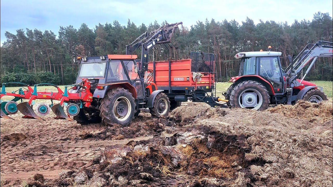 Rozrzucanie obornika 2025 Massey Ferguson & Zetor & Metal Fach N267 