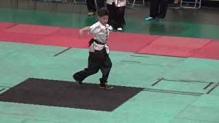 108年國武術全國聯賽 國小男子傳統北拳 林佑宇 1080427