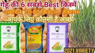 गेहूं की 6 उन्नत किस्में  | गेहूं की नई किस्म उत्पादन 70-80 क्विंटल / Hectare  | नई किस्में 2021