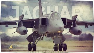 SEPECAT Jaguar - From trainer to powerful attack aircraft Cabeza De Jaguar Epx 032